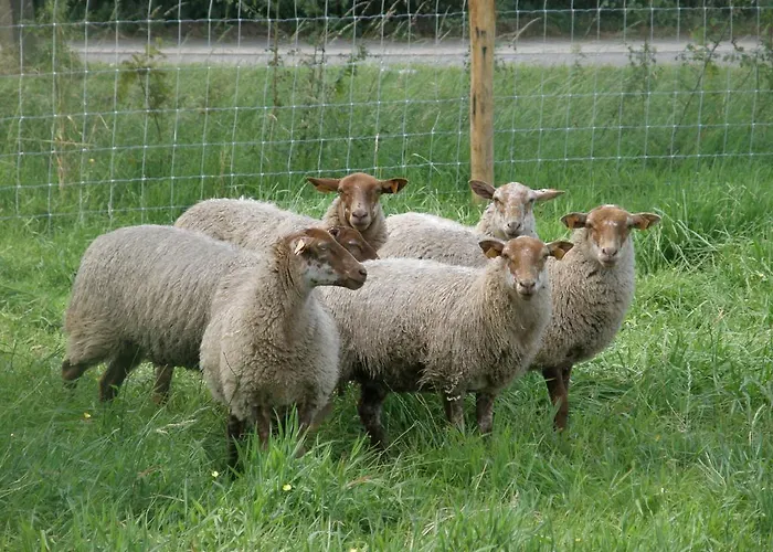 Hoeve De Hagepoorter